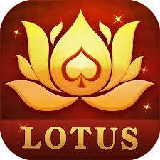 rummy boss new download